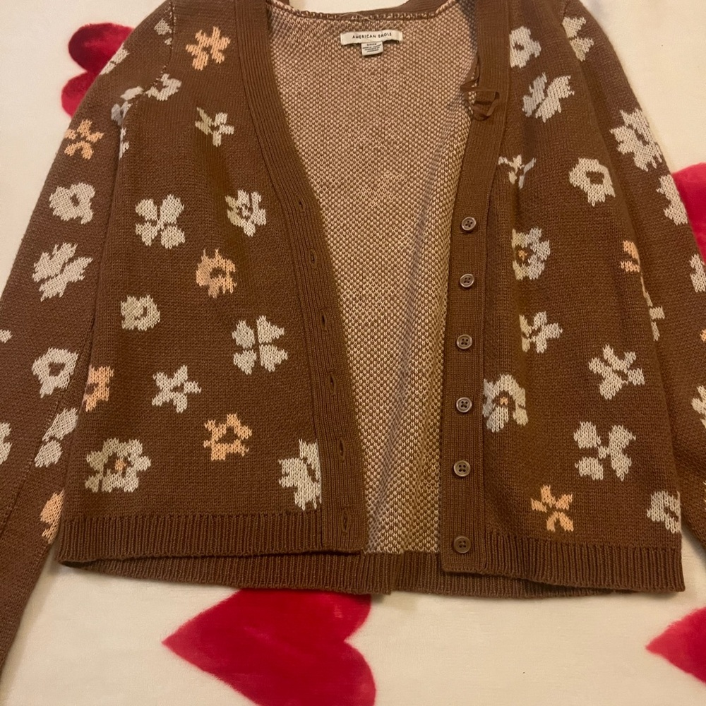 American Eagle Outfitters Brown Floral Cardigan
